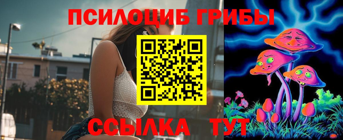 Псилоцибиновые грибы MAGIC MUSHROOMS  Вход с VPN  сколько стоит  Отрадное 